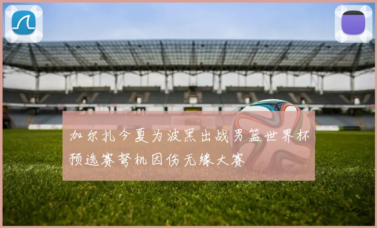加尔扎今夏为波黑出战男篮世界杯预选赛弩机因伤无缘大赛