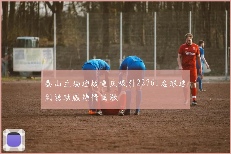 泰山主场迎战重庆吸引22761名球迷到场助威热情高涨